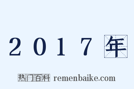 2017年是什么意思的图片